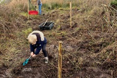 Planting heritage apple trees on eve of Theophany