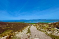 The Pilgrim's Way