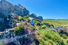 Dalradian Metamorphic Rockbed with Connemara Marble
