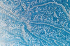 Frost in December