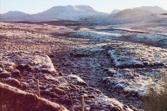 Frost in Sunlight