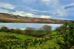 Atlantic Estuary