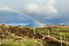 Rainbow on the Bog