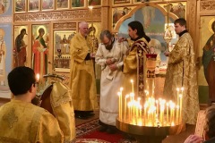 Ordination Begins