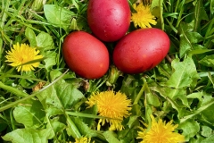 Blood Red Easter Eggs