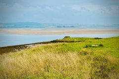 Tidal Coast of Whin Sill