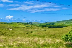 The Valley Pastures