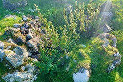 Entrance to the collapsed cave dwelling