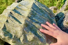 Remarkable weathering patterns on rocks here